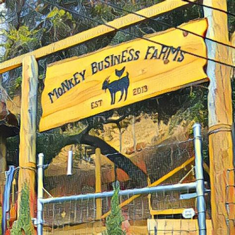 Monkey Business Farms