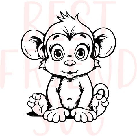 Download Monkey Clipart For Cricut