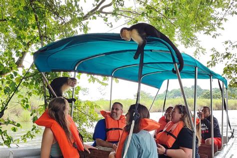 Monkey Encounter Boat Tour