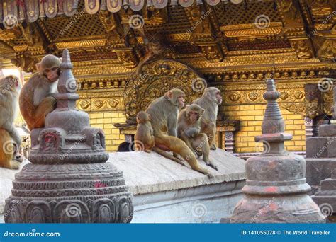 Monkey Temple Kathmandu