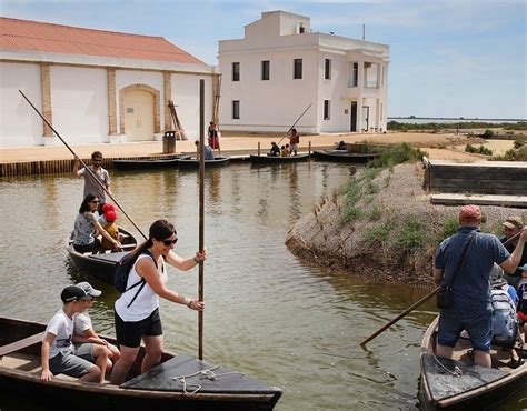 Monnatura Delta History
