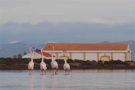 Monnatura Delta Guided Tour: An Expert Review