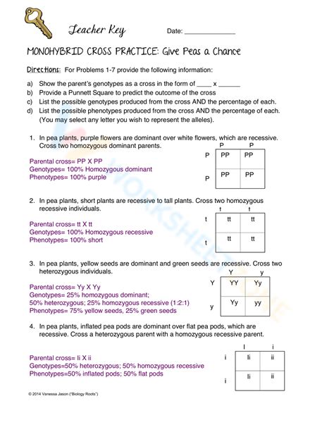 Monohybrid Cross Practice Problems Worksheet - Promotiontablecovers