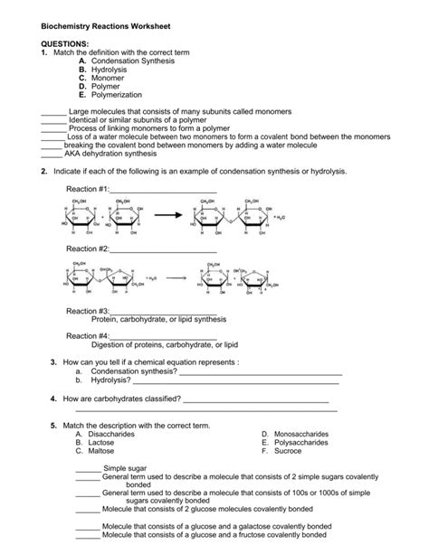 Monomers And Polymers Worksheet Answer Key