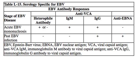 Mononucleosis Panel Test and interpretation