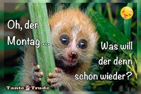 Montag Bilder Lustig