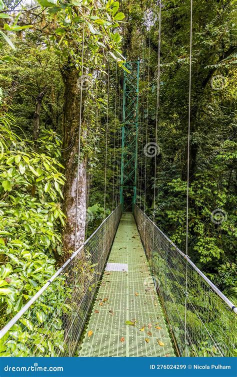 Monteverde Dry Season