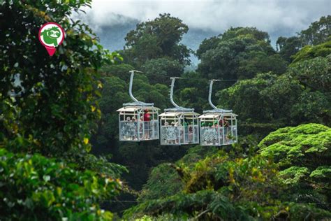 Monteverde Tours