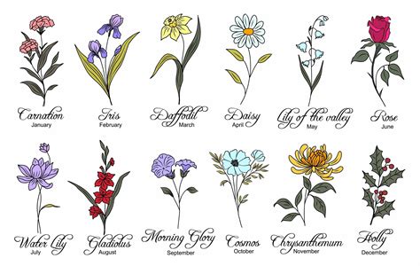 Discover Your Birth Month Flowers: A Monthly Floral Guide