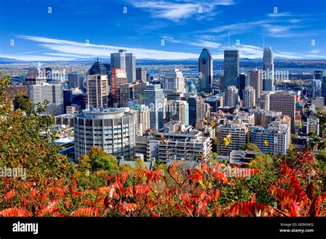 Montreal Skyline View