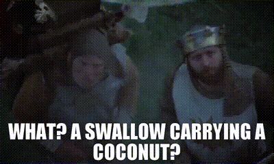 Monty Python And The Holy Grail Quotes Swallow