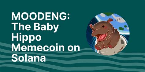 Moodeng Transfer Booking