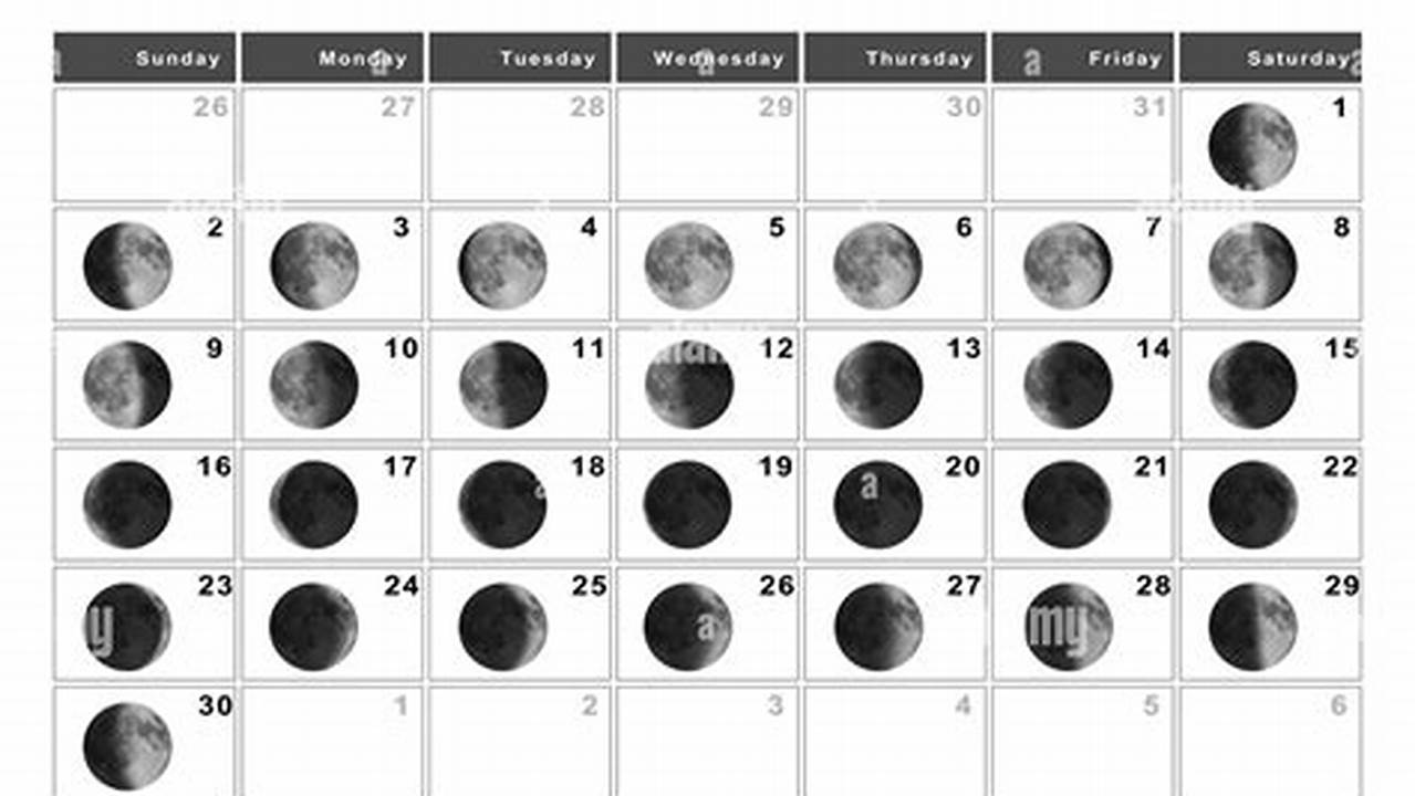 Moon Cycle For November 2025