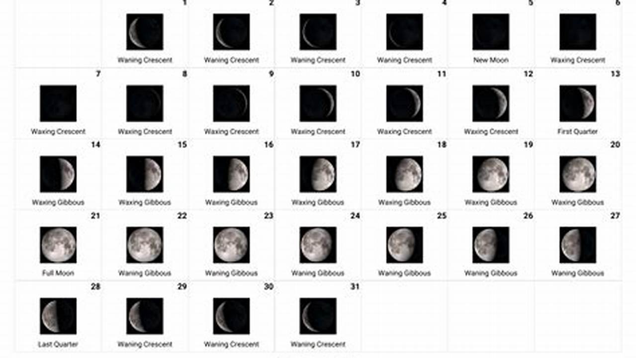 Moon July 1 2024