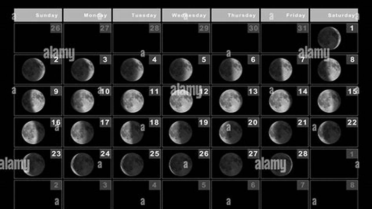 Moon Phase Feb 1 2025