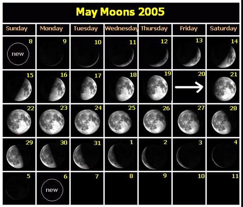 Moon Phase Calendar 2005