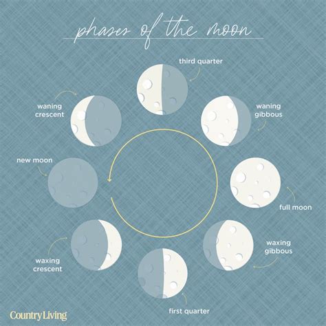 Moon Phases Cycle