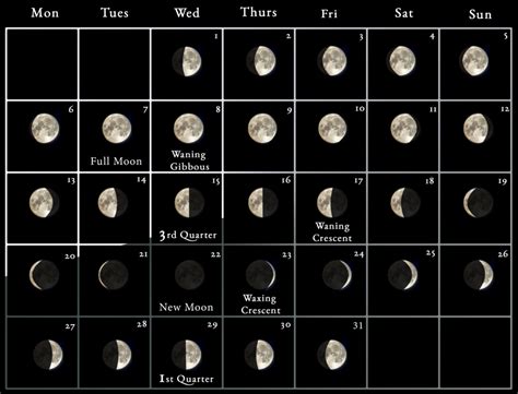 Moon Phases This Month