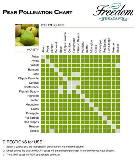 Moonglow Pear Pollination Chart