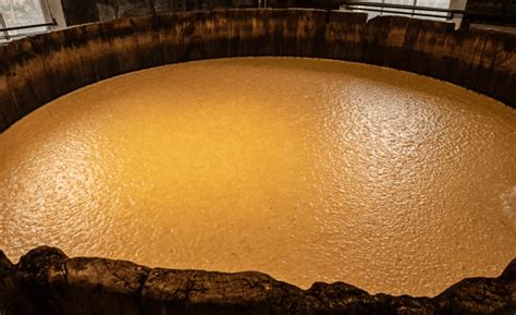 Moonshine Mash Calculator