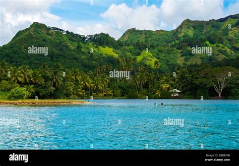 Moorea Blue Lagoon swimming