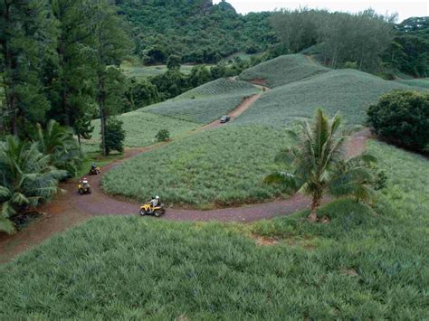 Moorea Pineapple Farm