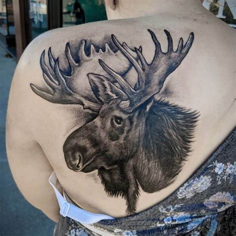 Moose Tattoos Designs, Ideas and Meaning Tattoos For You