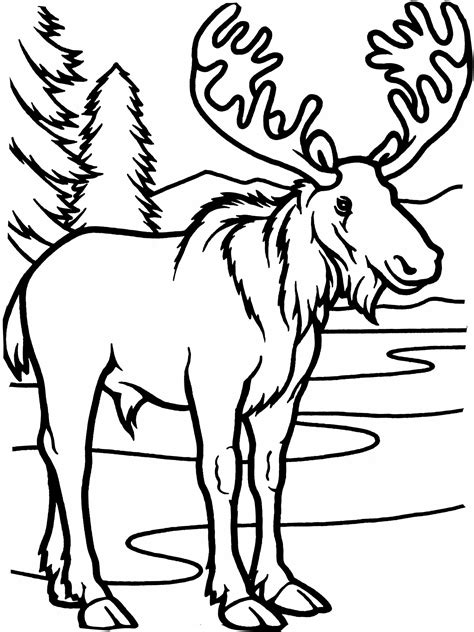 Moose Coloring Page