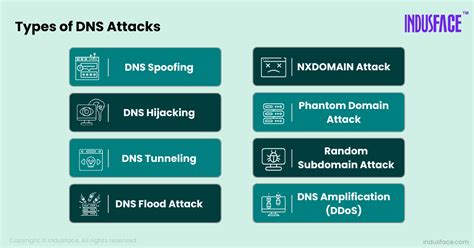 More than one type of DNS attack