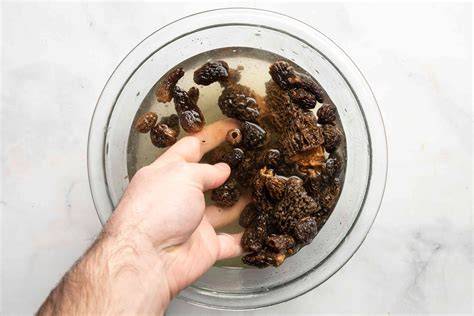 Morel Slurry Recipe
