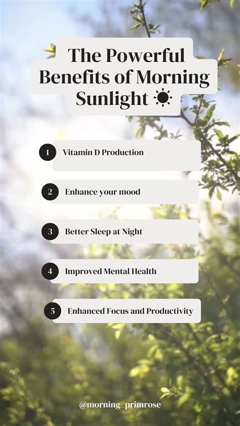Morning Sunlight: Boost Health & Energy Now!