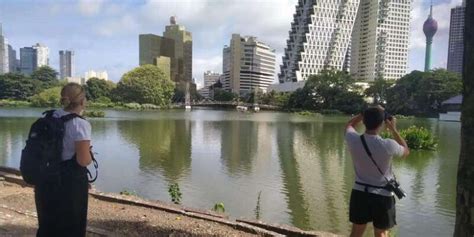 Morning vs. Evening Tour Colombo