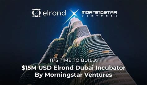 Morningstar Ventures Injects $15M into Elrond Network Projects
