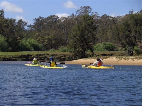 Moruya River Kayaking