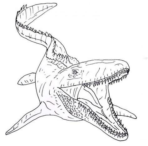 Mosasaur Coloring Pages