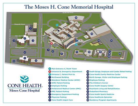 Moses Cone My Chart