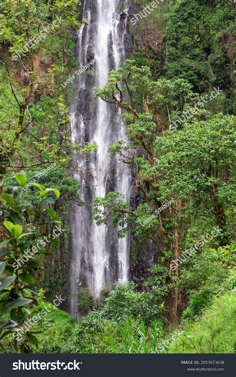 Moshi Materuni Waterfall & Kikuletwa Hot Springs Day Trip: Review