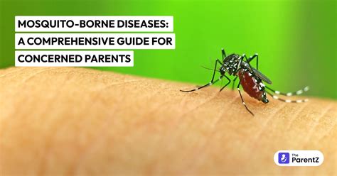 Mosquito Borne Meaning