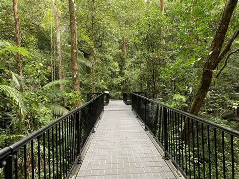 Mossman Gorge Walk
