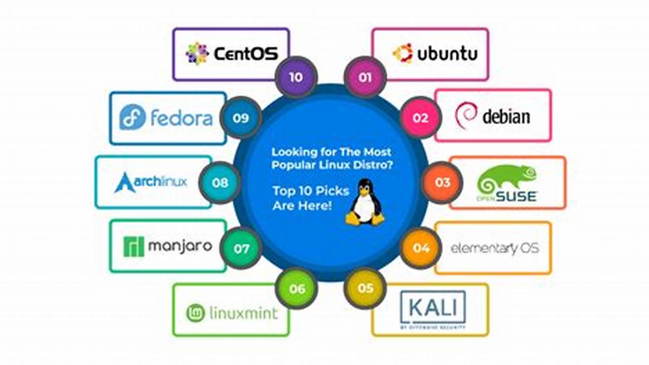 Most Popular Linux Distro 2024