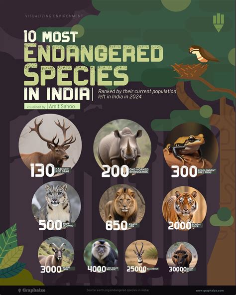 Most Endangered Animals In India
