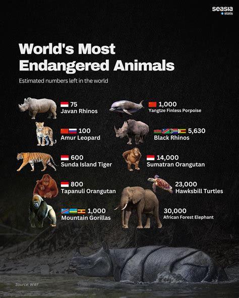 Most Endangered Animals In The World 2020