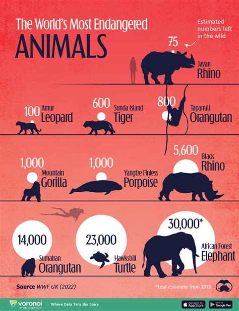 Most Endangered Animals That Are Going Extinct