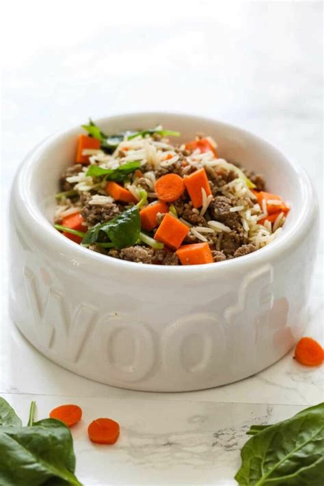 Most Nutritious Homemade Dog Food Recipes