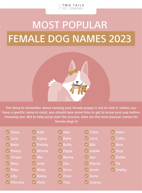 Most Popular Girl Dog Names