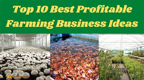 Most Profitable Farming Business