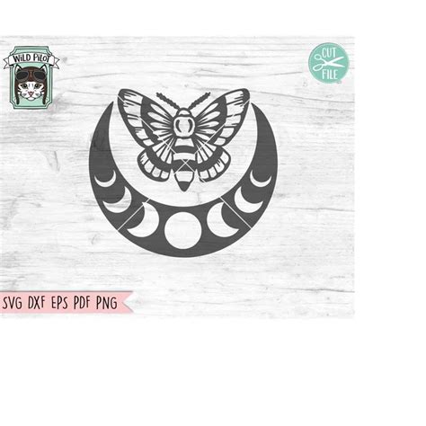 Download Moth Moon SVG Files For Crafts