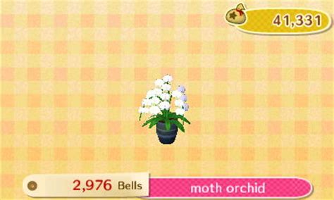 Moth Orchid Acnl