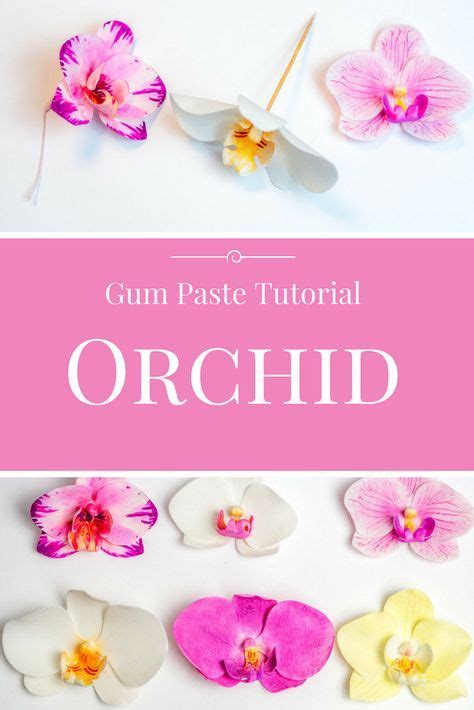 Moth Orchid Gumpaste Tutorial