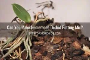 Moth Orchid Potting Mix